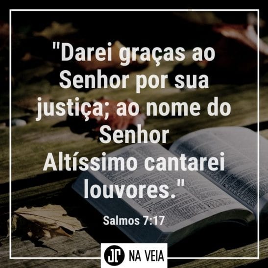 Versículos sobre gratidão - Ex 20:14